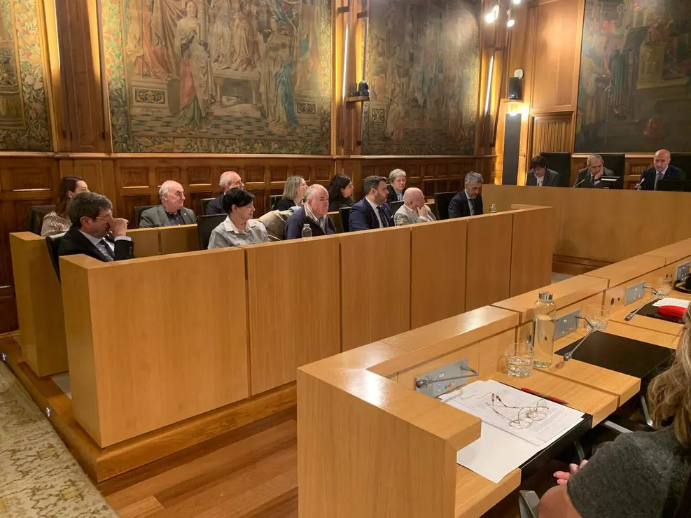 Pleno Ayuntamiento de Le&oacute;n (7)