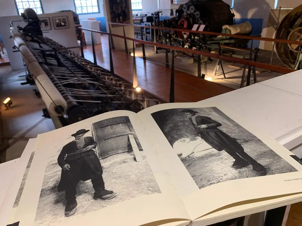 WhatsApp Image 2026-01-31 at 16.56.06 (3)