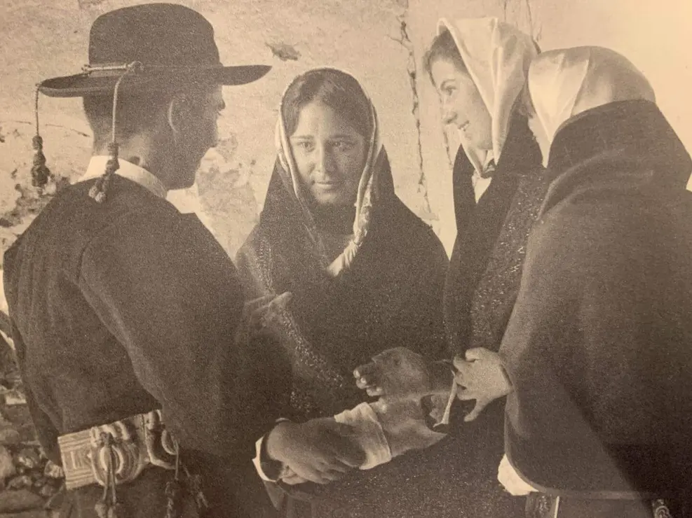 WhatsApp Image 2026-01-31 at 16.56.07 (1)