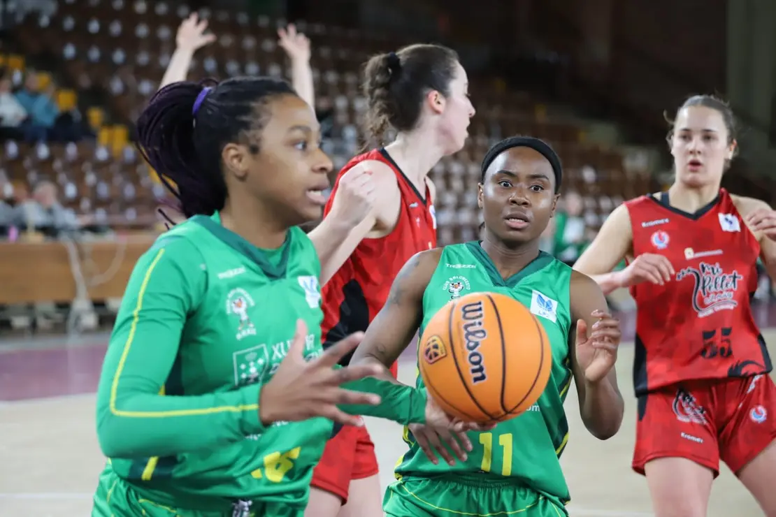 Mipelletymas BF Le&oacute;n (7)