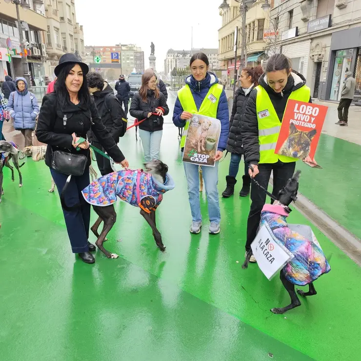 WhatsApp Image 2026-02-01 at 13.34.49