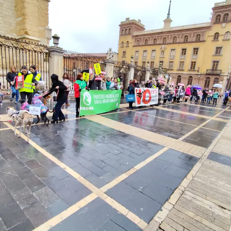 WhatsApp Image 2026-02-01 at 13.34.48 (4)