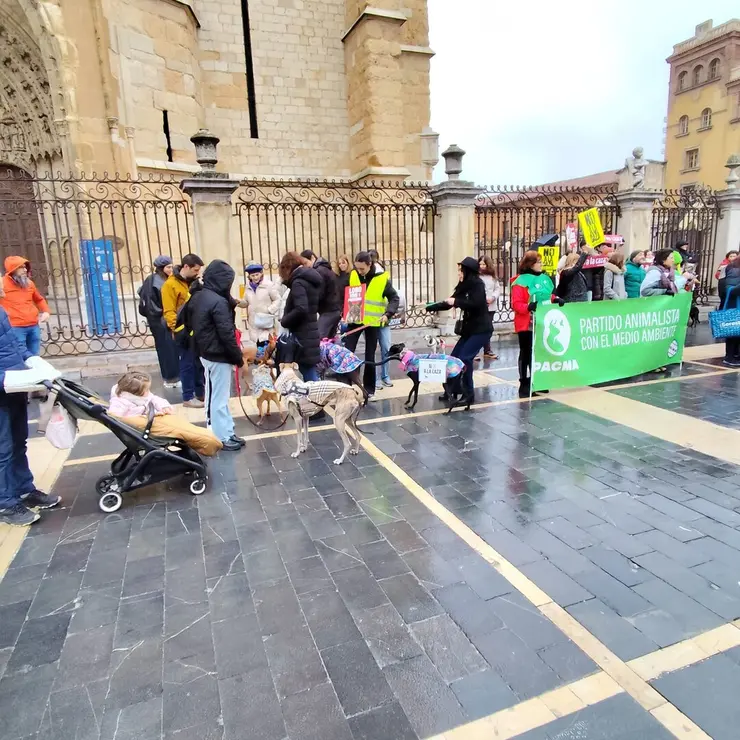 WhatsApp Image 2026-02-01 at 13.34.48 (3)