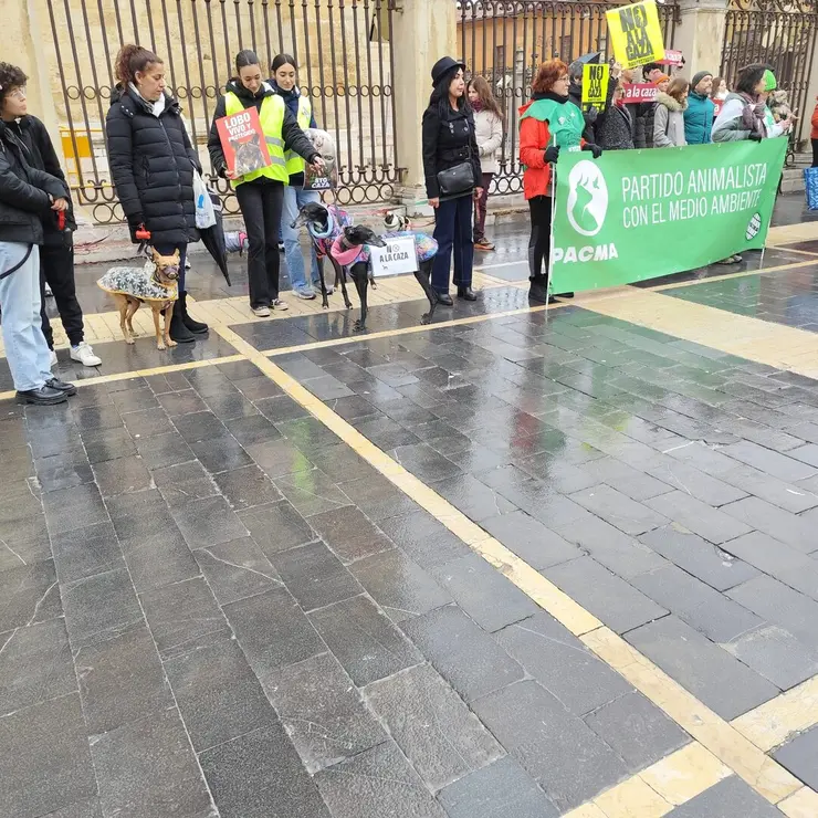 WhatsApp Image 2026-02-01 at 13.34.48 (2)