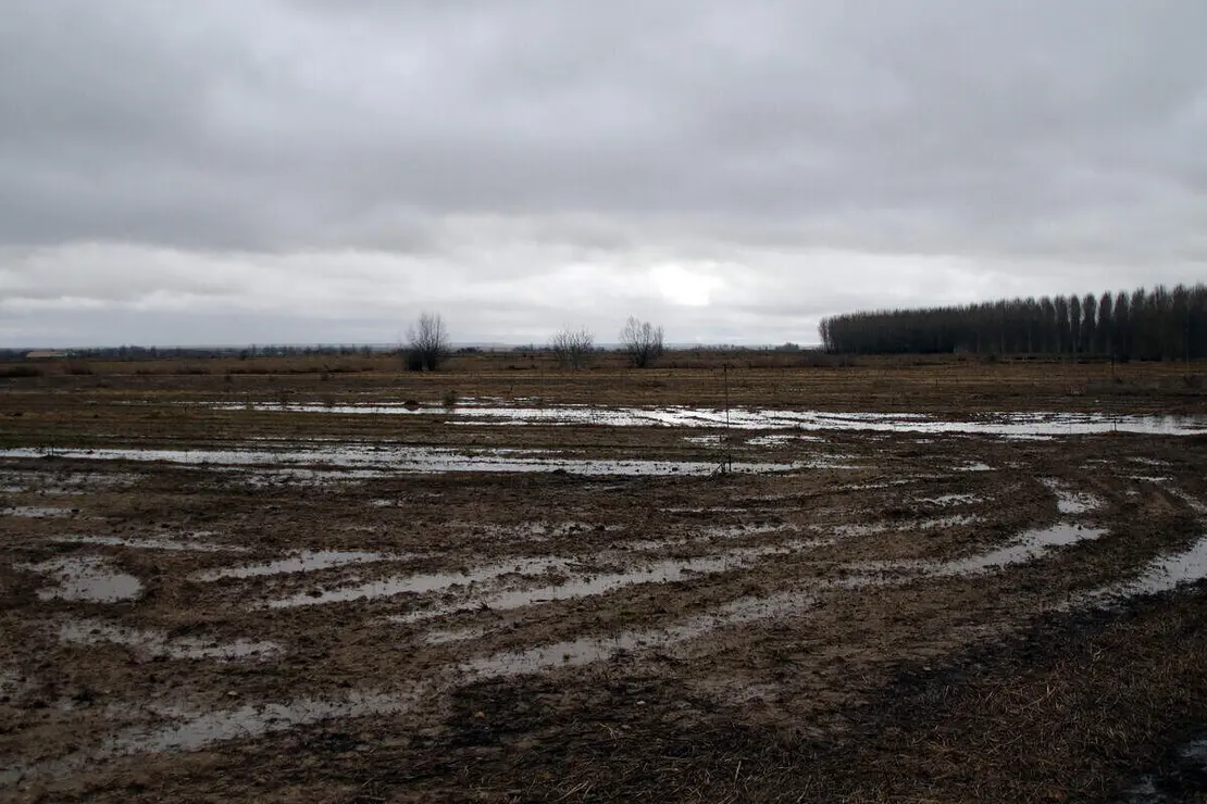 El r&iacute;o Bernesga se desborda a su paso por Puente Castro