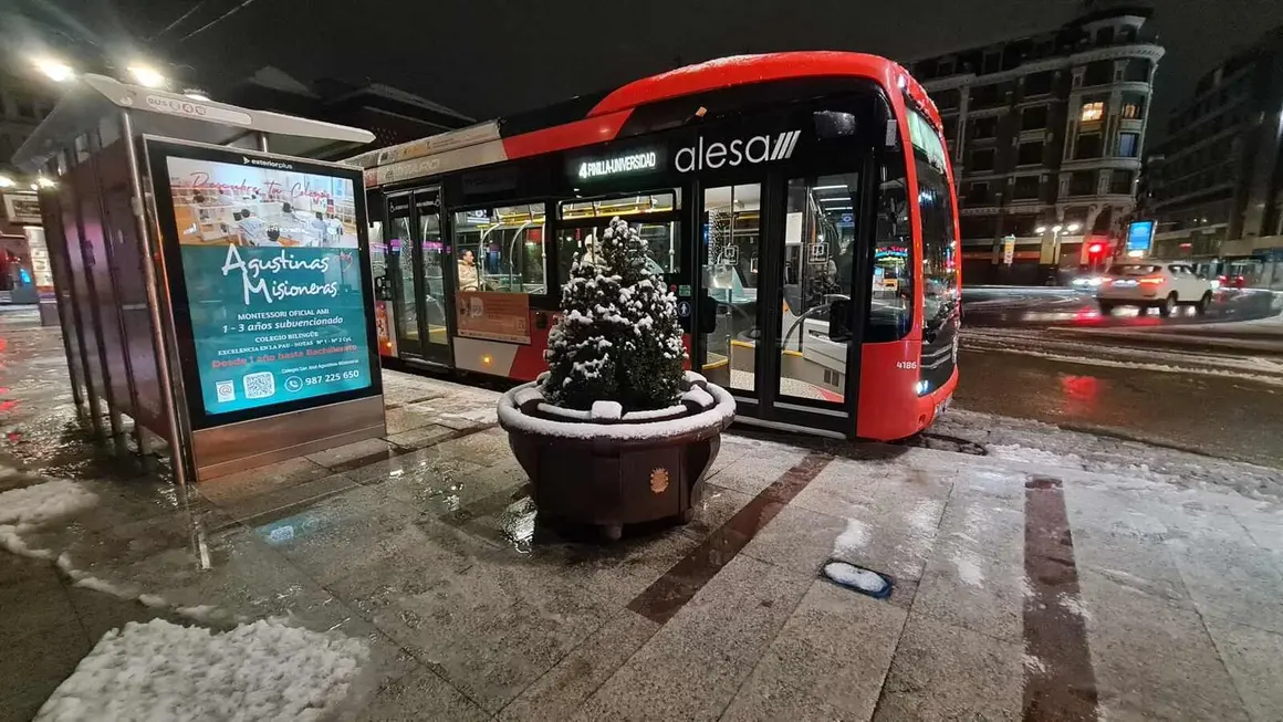 Nieve en Le&oacute;n capital (8)