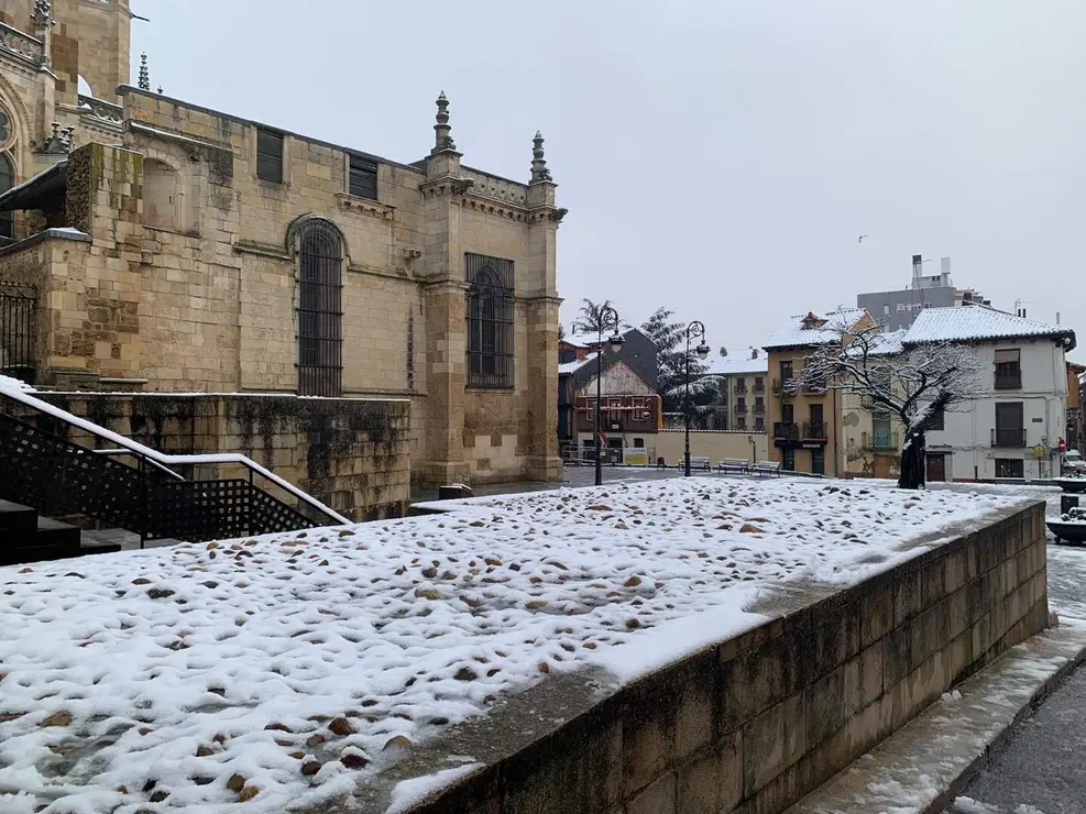 nieve le&oacute;n (1)