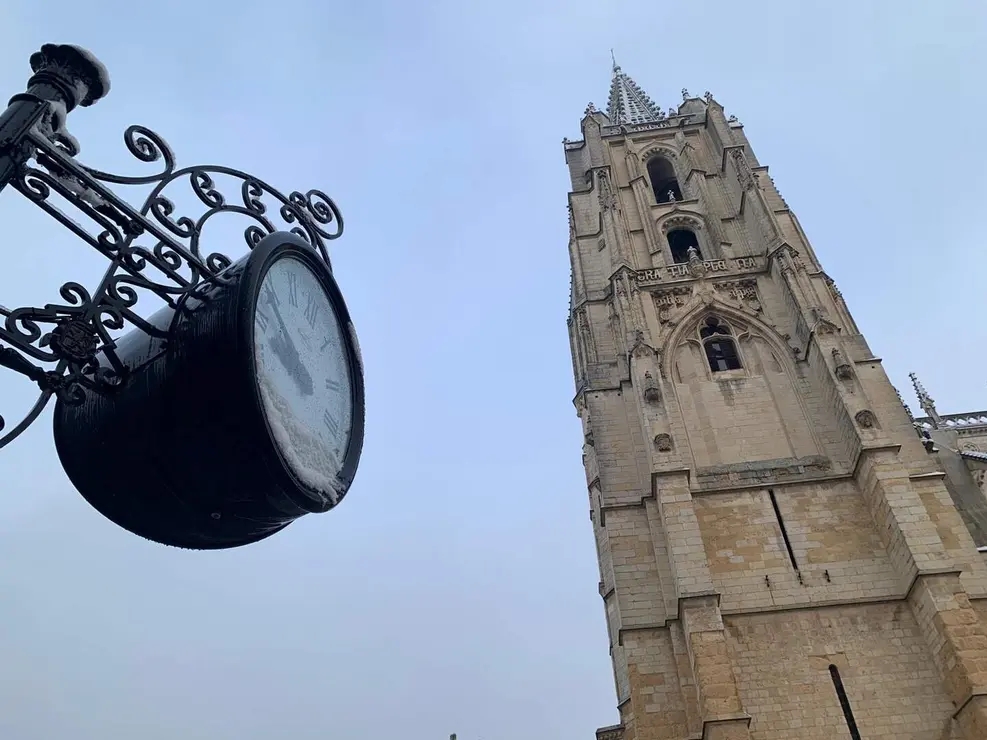 nieve le&oacute;n (3)