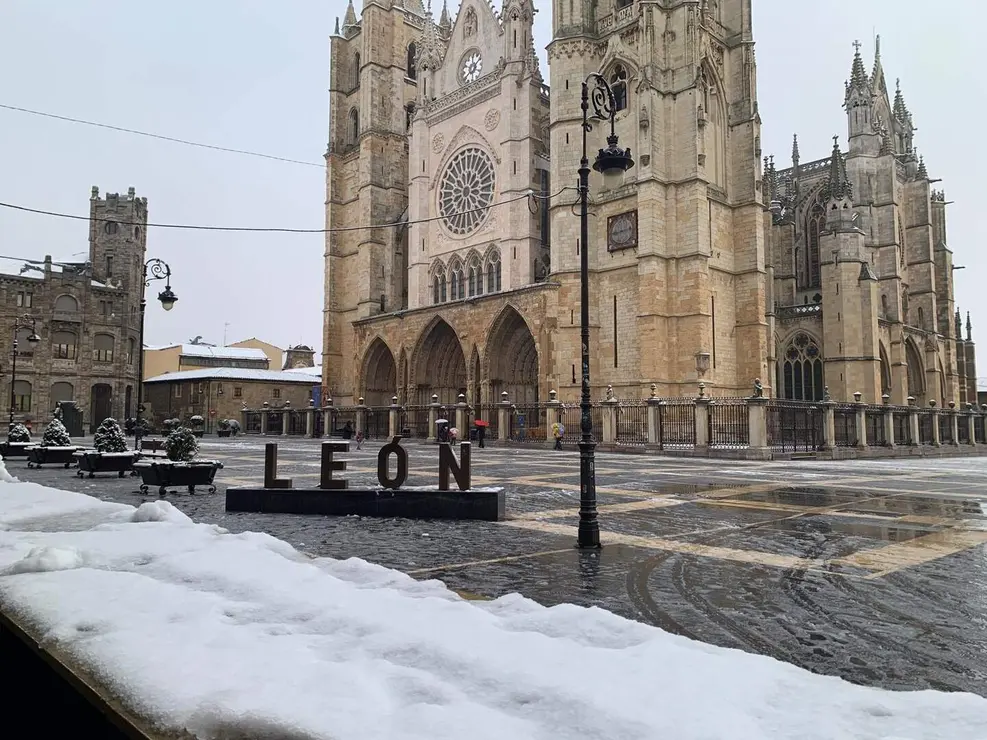 nieve le&oacute;n (4)