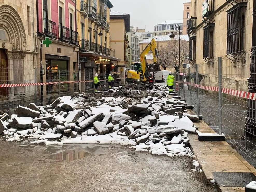 nieve le&oacute;n (5)