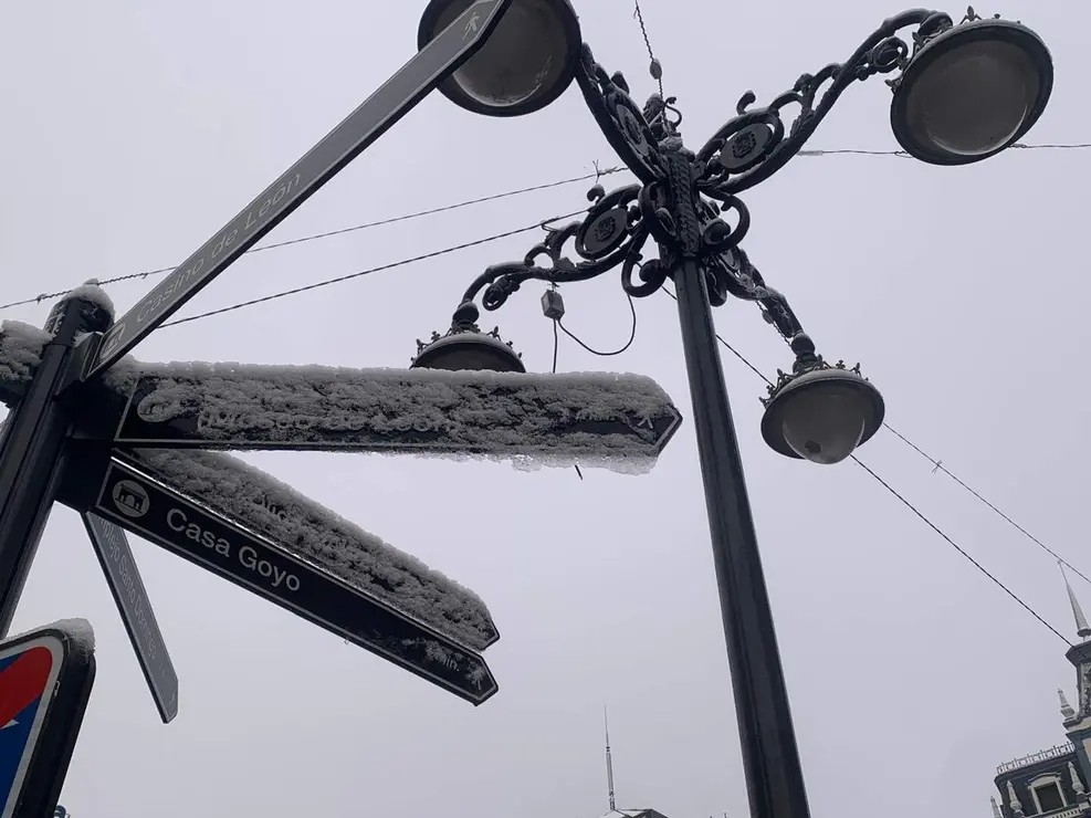 nieve le&oacute;n (6)