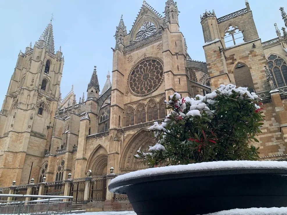 nieve le&oacute;n (7)