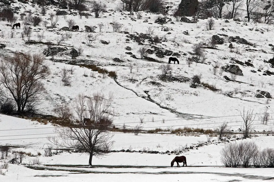 La nieve cubre los valles de la comarca de Arb&aacute;s, Le&oacute;n