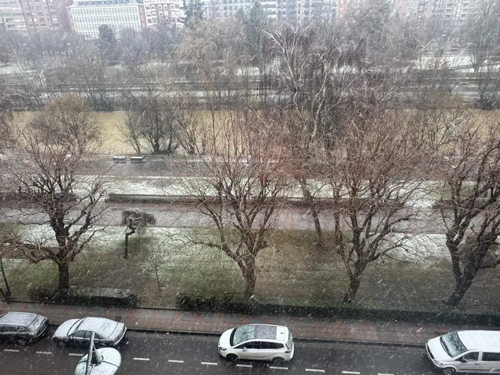 WhatsApp Image 2026-02-07 at 15.59.50