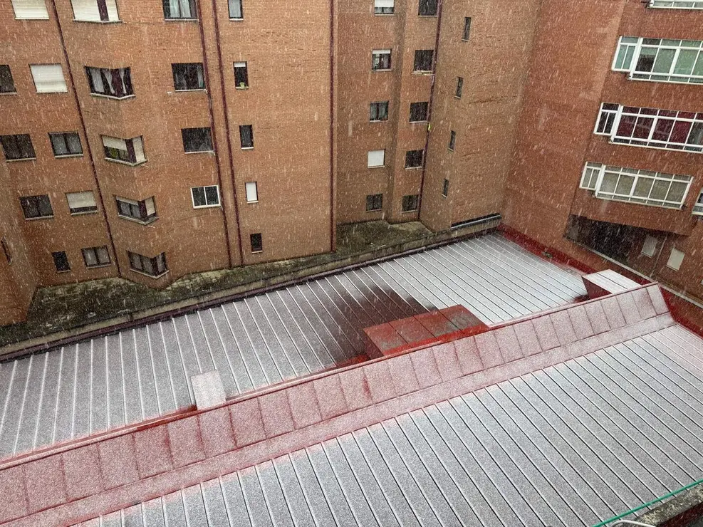 WhatsApp Image 2026-02-07 at 15.59.45