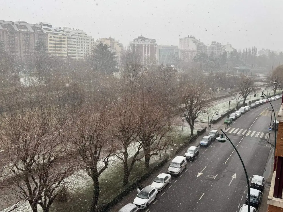 WhatsApp Image 2026-02-07 at 16.02.20