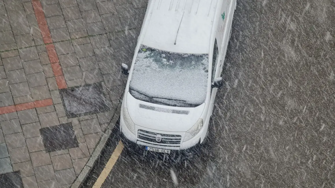 WhatsApp Image 2026-02-07 at 16.11.40