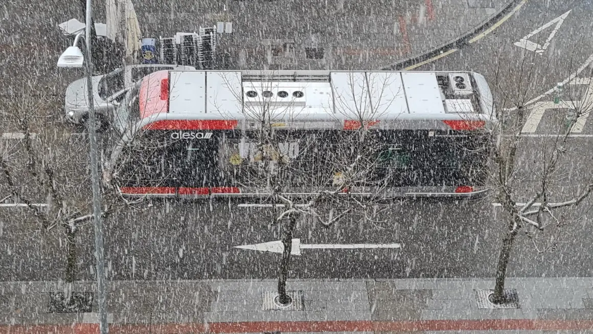 WhatsApp Image 2026-02-07 at 16.11.39 copia