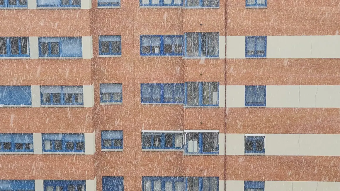 WhatsApp Image 2026-02-07 at 16.11.39