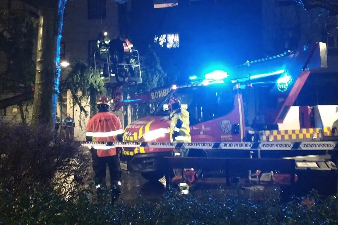 Los Bomberos de Le&oacute;n act&uacute;an tras la ca&iacute;da de un pino en un parque de la capital. El &aacute;rbol se desplom&oacute; en la plaza del Huevo por el efecto del temporal de lluvias de los &uacute;ltimos d&iacute;as, a&uacute;n visible en la ciudad.