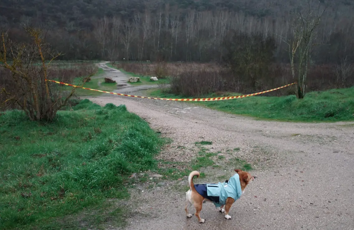 Accesos cerrados al paseo del r&iacute;o Sil a su paso por Ponferrada, debido al aumento del cauce por el temporal de lluvias