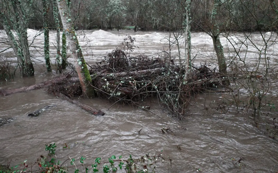 Accesos cerrados al paseo del r&iacute;o Sil a su paso por Ponferrada, debido al aumento del cauce por el temporal de lluvias
