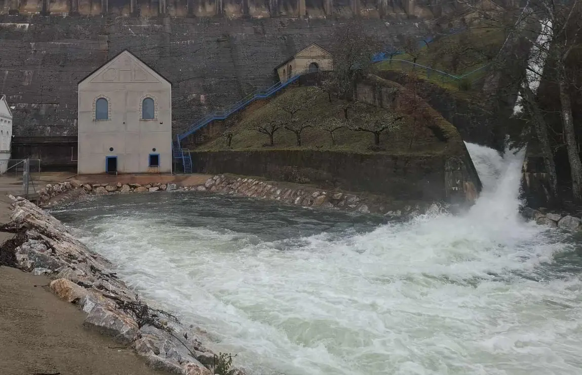 Subdelegado en Villameca (7)
