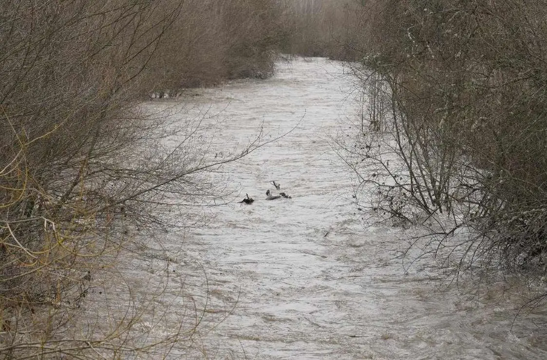 Inundaciones Bierzo (6)