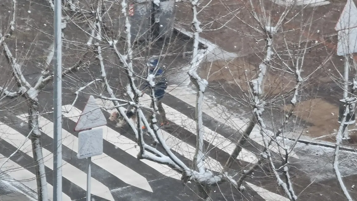 Nieve en Le&oacute;n (3)