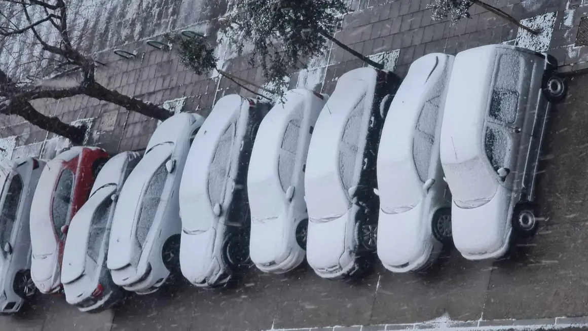 La nieve ha llegado de madrugada a Le&oacute;n, donde contin&uacute;a cayendo de forma leve a lo largo de este viernes. El episodio invernal ha transformado de nuevo el paisaje urbano, cubriendo calles, parques y tejados con un manto blanco que ya se deja notar tanto en la movilidad como en el ambiente, acompa&ntilde;ado adem&aacute;s de rachas de viento que incrementan la sensaci&oacute;n t&eacute;rmica de fr&iacute;o.