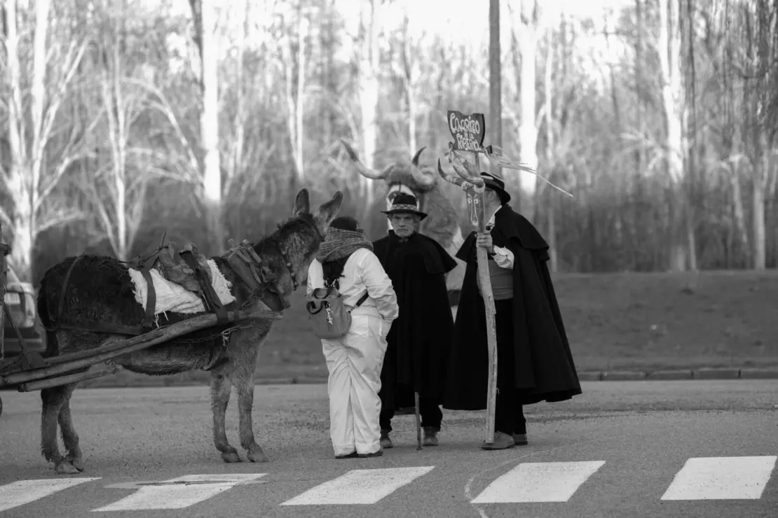 antruejo carrizo jesusgg (4)