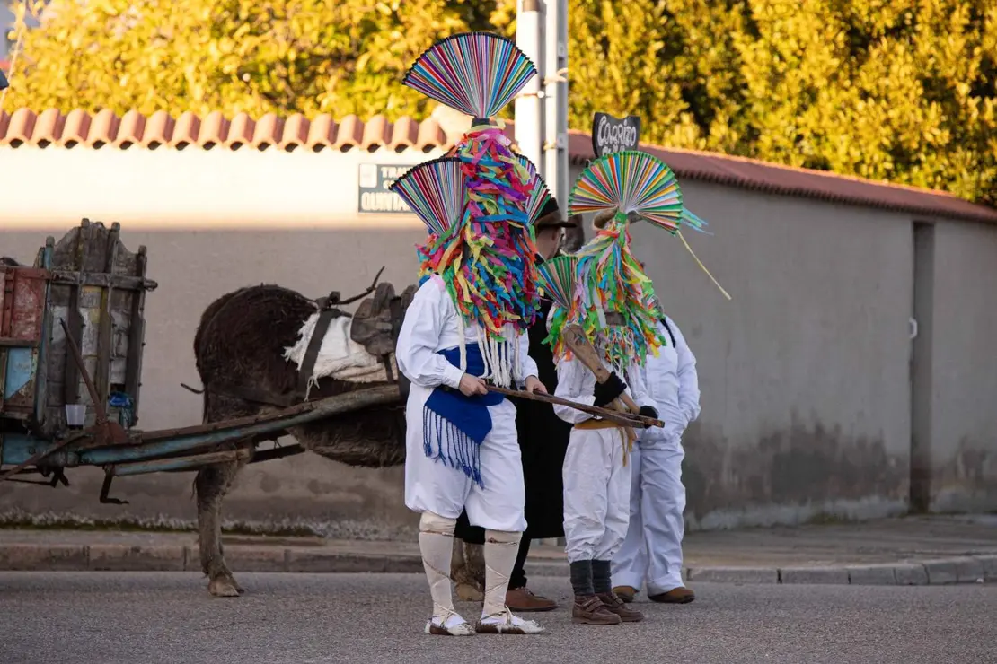 antruejo carrizo jesusgg (7)