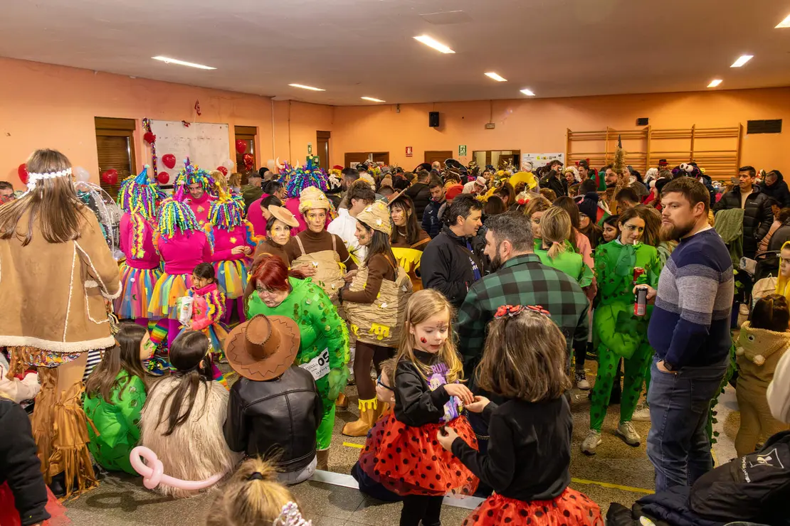 carnaval virgen del camino (4)