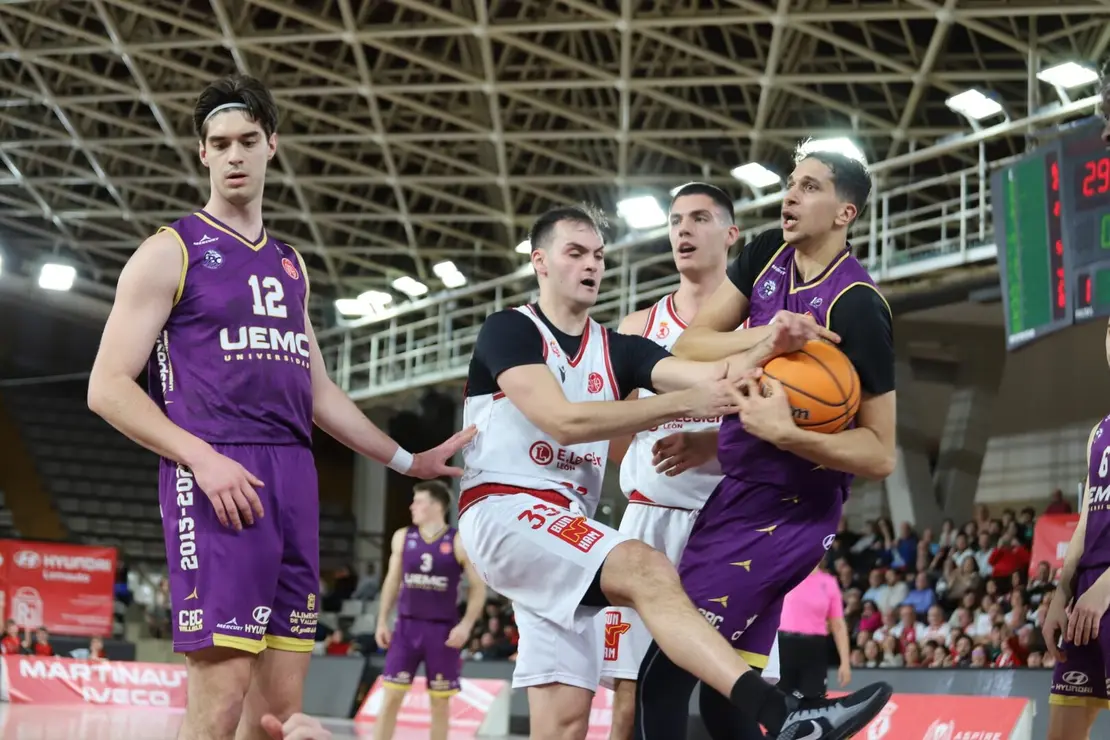 WhatsApp Image 2026-02-15 at 21.43.51