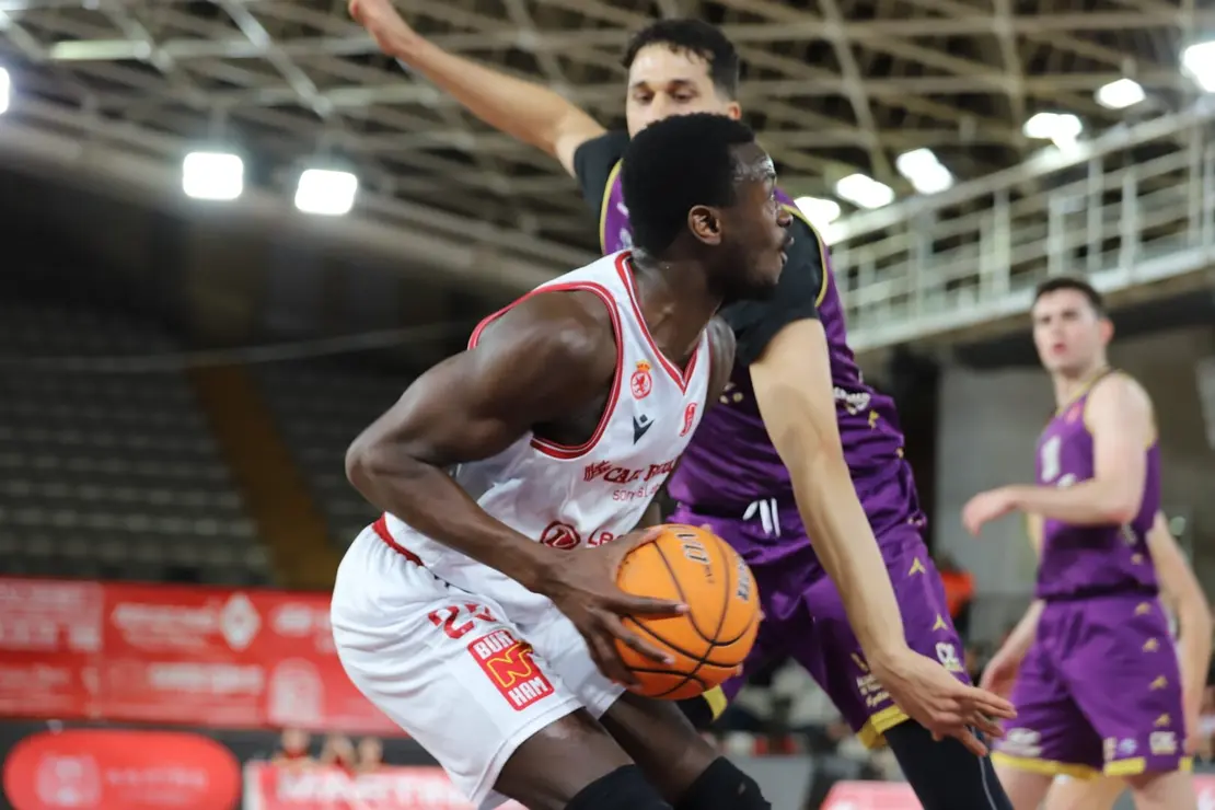 WhatsApp Image 2026-02-15 at 21.43.52