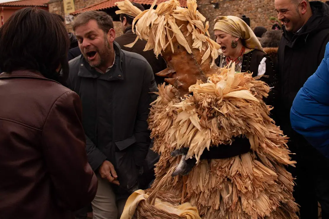 carnaval llamas jesusgg (6)