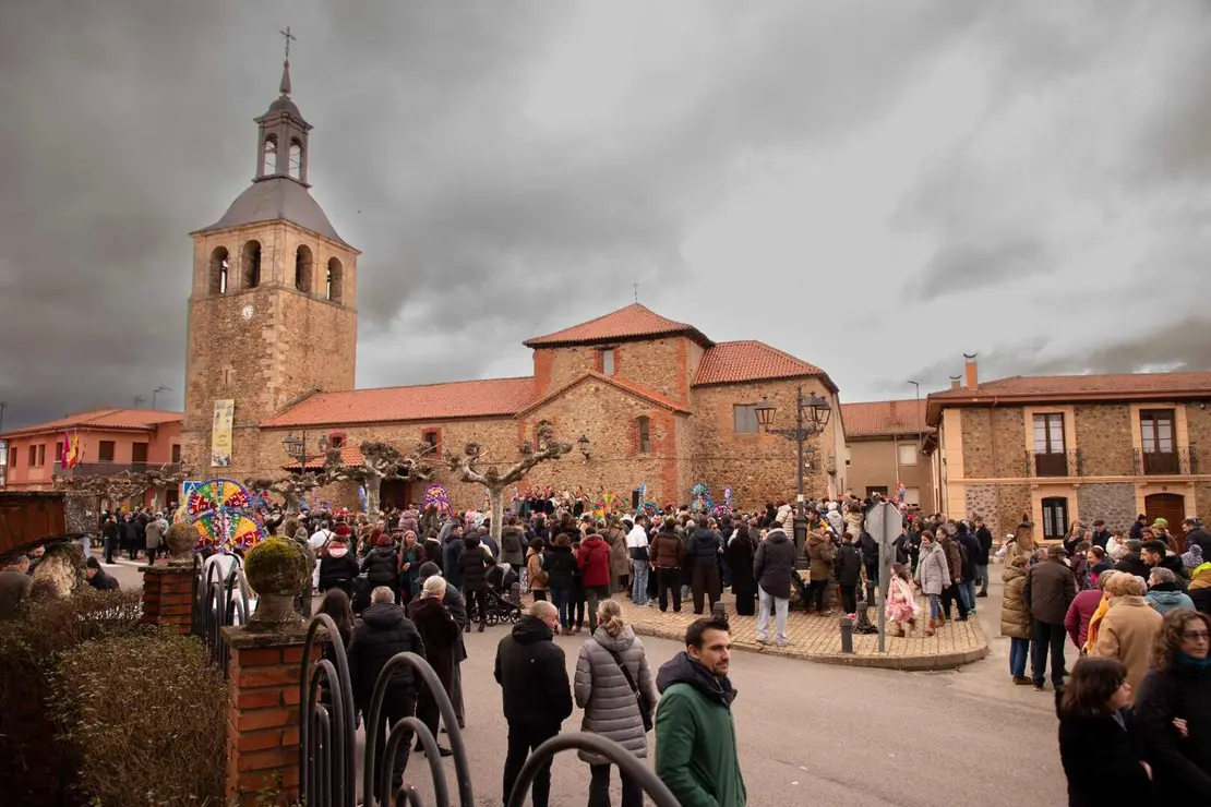 carnaval llamas jesusgg (7)