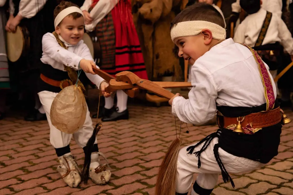 carnaval llamas jesusgg (12)