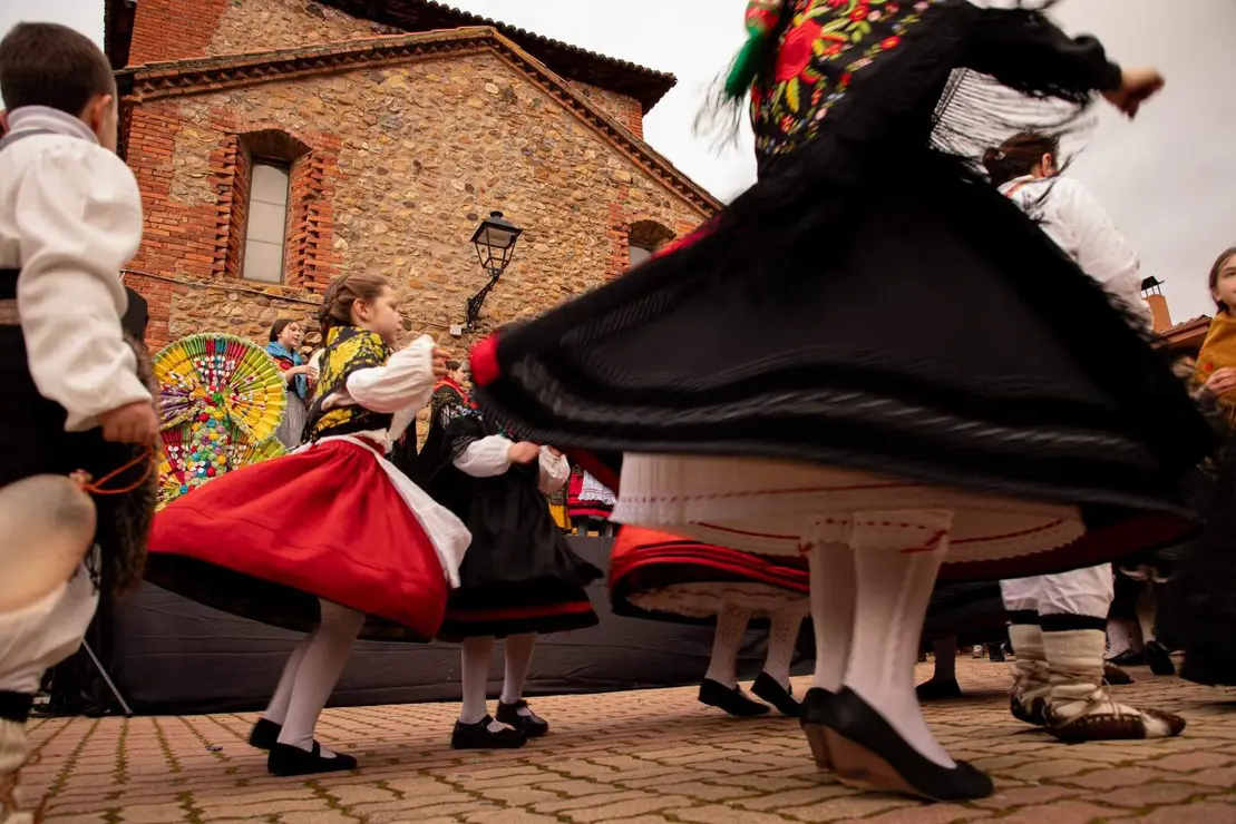 carnaval llamas jesusgg (13)