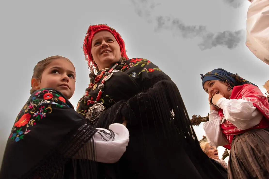 carnaval llamas jesusgg (14)