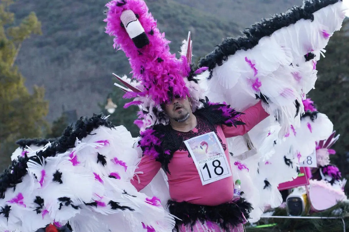 Carnaval en Ponferrada (7)