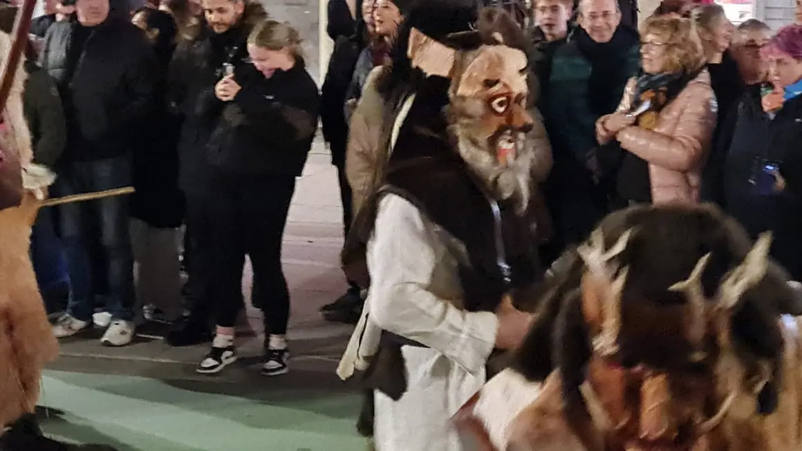 Carnaval en Le&oacute;n (2)