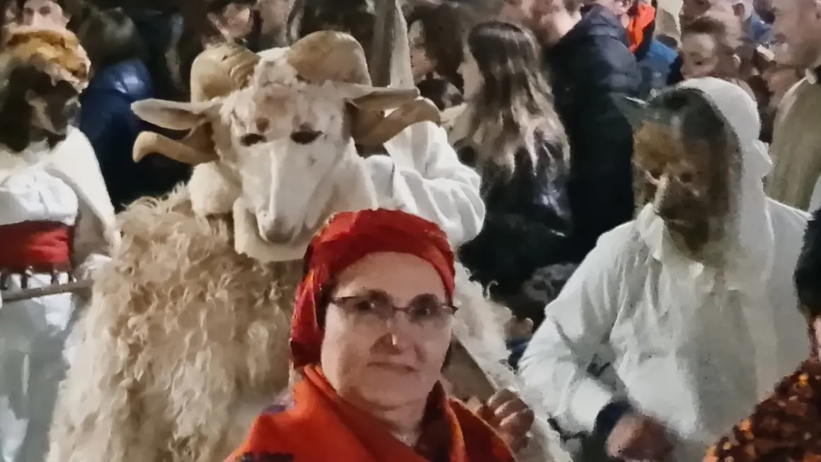 Carnaval en Le&oacute;n (3)