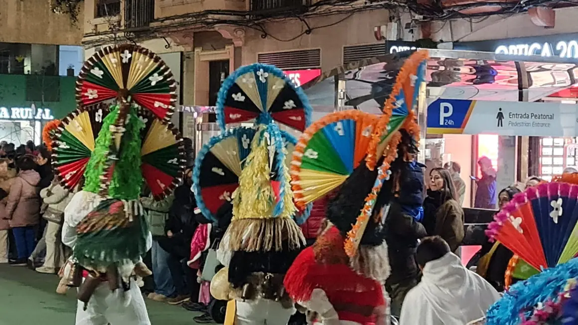Carnaval en Le&oacute;n (8)