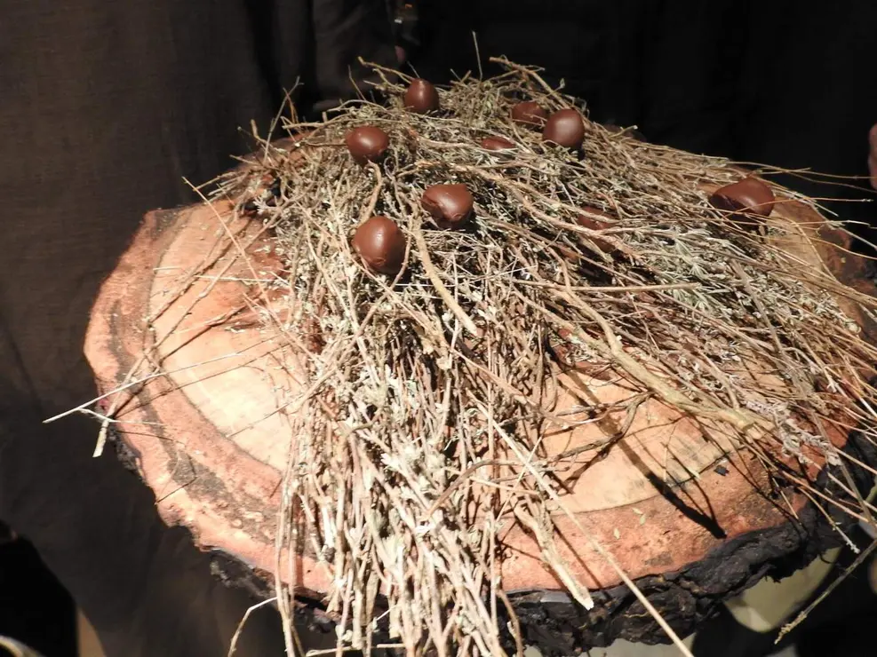 cupula capricho (11)