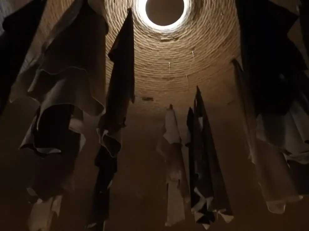 cupula capricho (19)