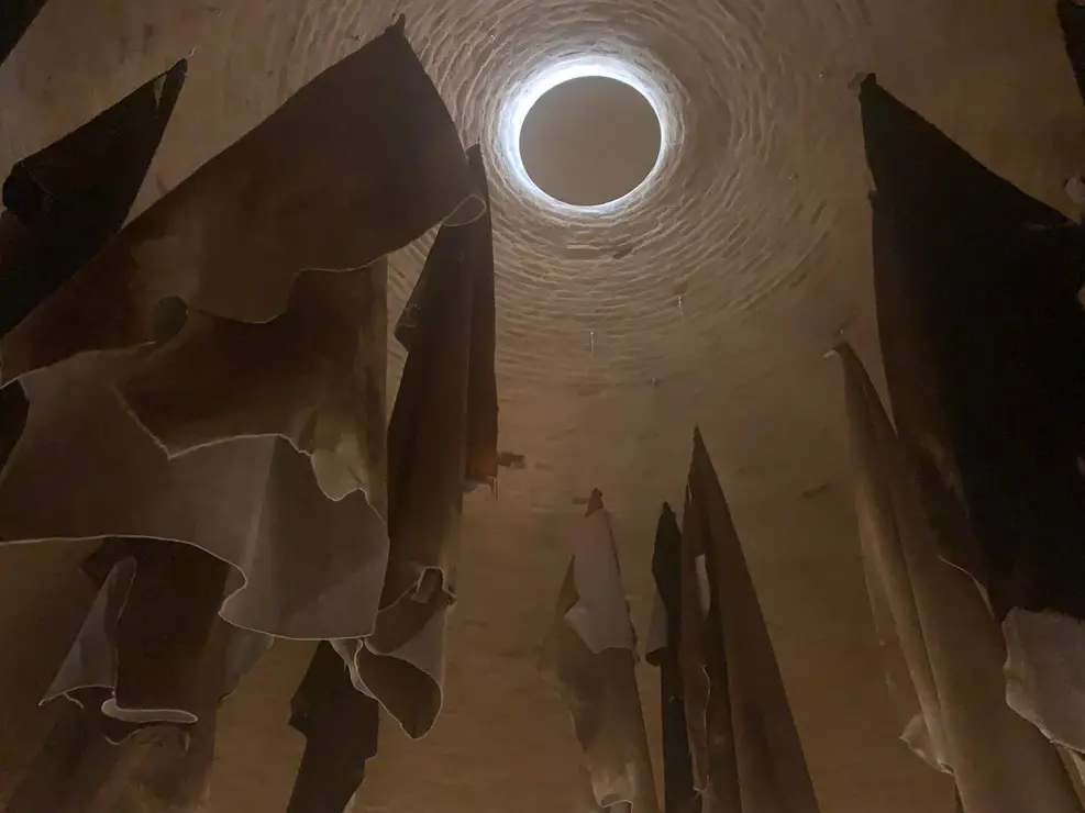 WhatsApp Image 2026-02-18 at 22.51.53 (1)