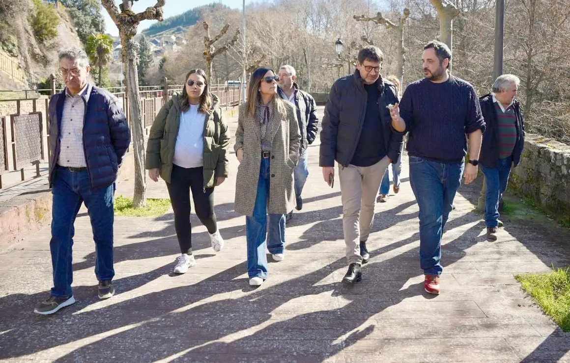 PSOE Torre del Bierzo III