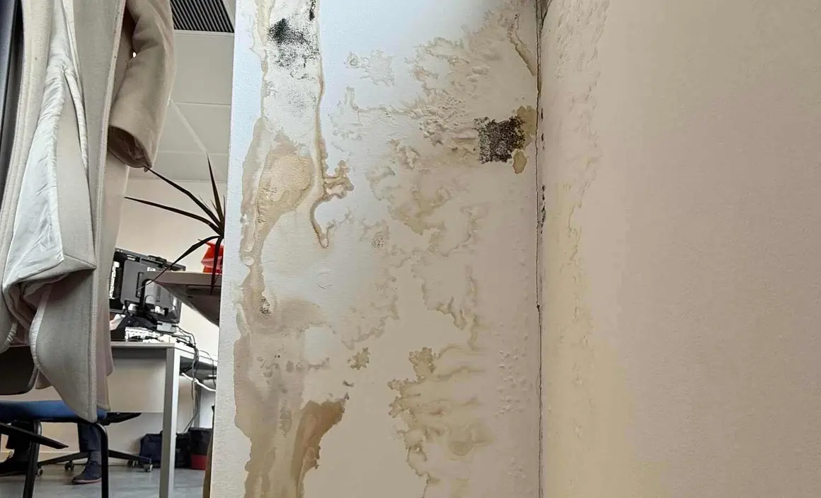 El PP denuncia que las obras de Ordo&ntilde;o II se recepcionan con fallos y un sobrecoste de 323.000 euros.&nbsp;Los populares denuncian retrasos acumulados, deficiencias sin corregir y un incremento del 9,94% en una reforma financiada con fondos europeos.