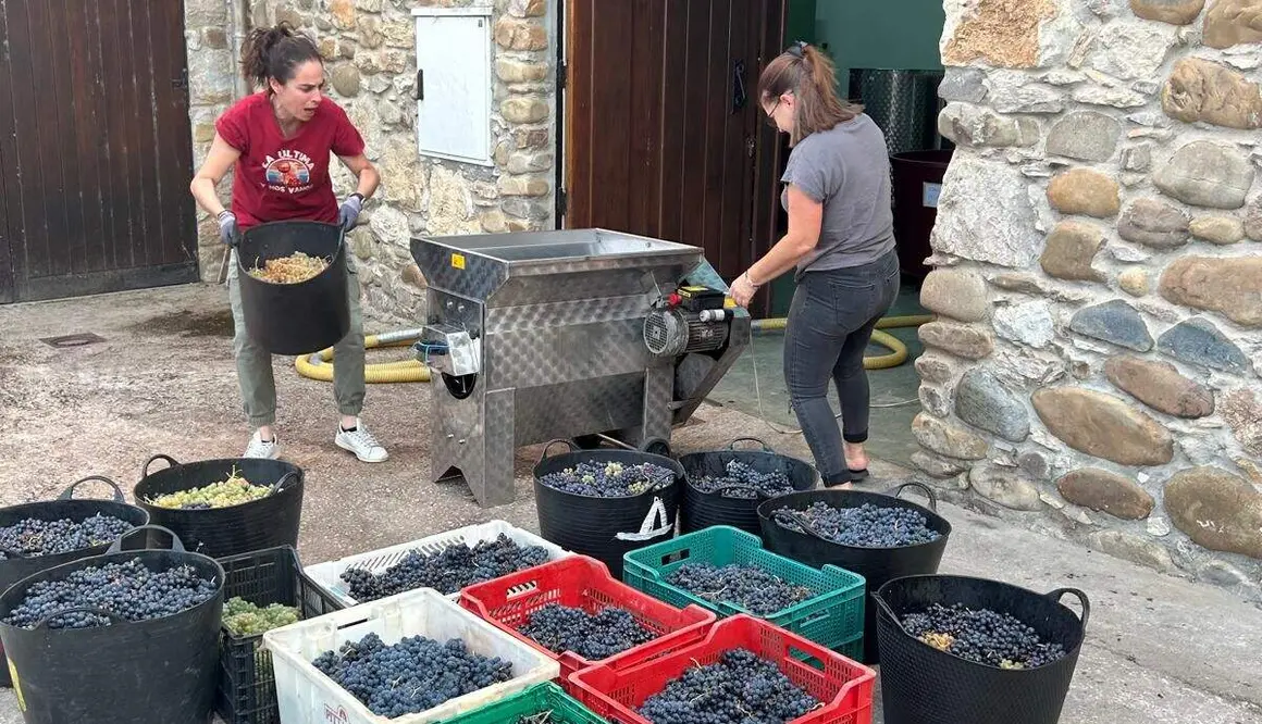 'M', un vino elaborado con uvas de parcelas de 22 mujeres del Bierzo